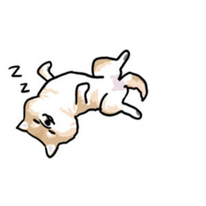 Meet your Posher, Hailey